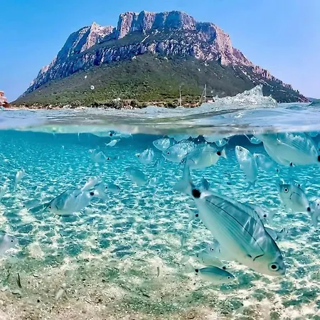 Vakantiehuis Vittoria San Teodoro, A 2 Minuti Dalle Spiagge *